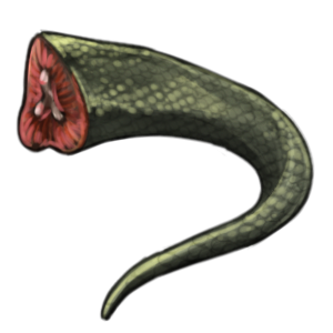 Reptile Tail